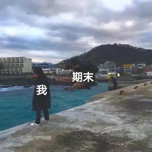 表情包女孩脸很胖qq表情