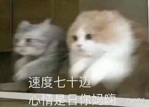 同志注意车速表情包表情