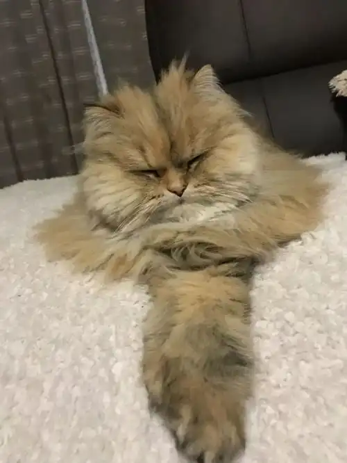 怎么可以把人家这个样子的照片,加工成雕像呢.....