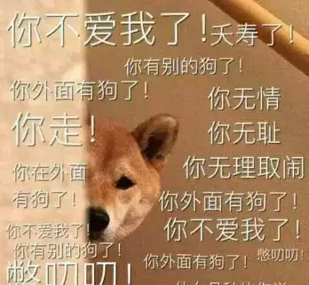 春节长假回家过年,宠物寄养5点谨防宠物出现分离焦虑症