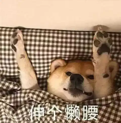 狗埋沙子进嘴里表情包