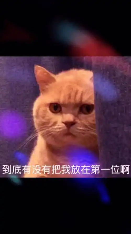 每桢都是表情包趣图聊天截图艾特你想艾特的人