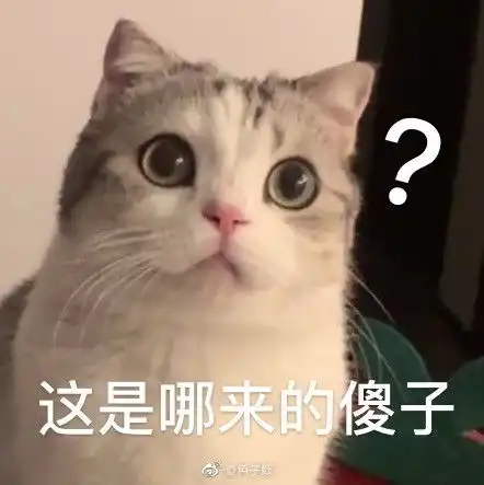 猫咪表情包香香软软的小泡芙专场今天是甜甜的小猫咪鸭