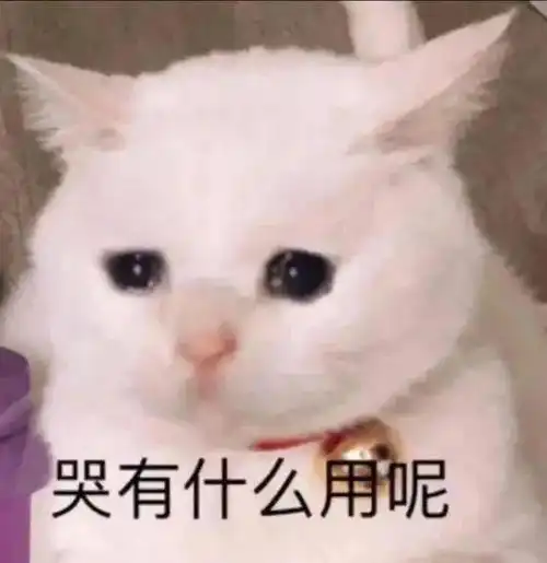 爱丁堡大学推出认可中国院校名单,不卡背景的学校又少一所