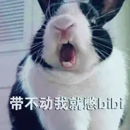 搞笑游戏兔表情包,