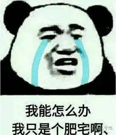 帮猫打架是什么体验