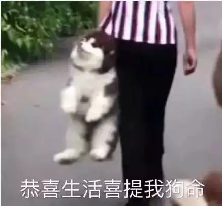 大学初体验你们竟然是这样的学弟学妹