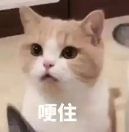 女神,她为什么还不找你修电脑