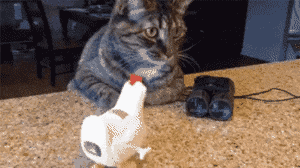 乐活男人太惨,这辈子只有三种结果单身死得比妻早当鳏夫