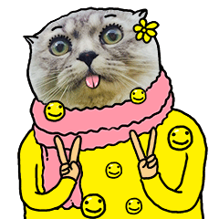 oxo氧气事务所微信表情包猫斯卡plus