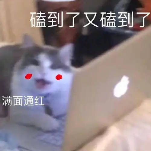 翔霖cp表情包敷衍