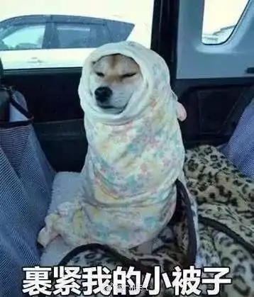 一周降温近20,下周真的要下雪了,更恐怖的是