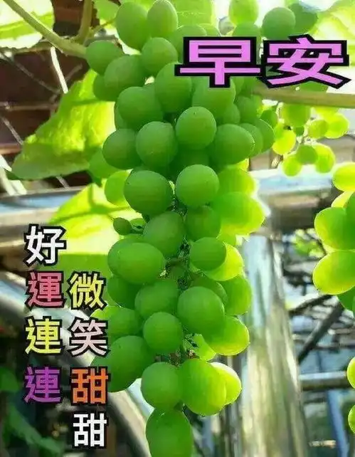 温馨的早安问候语精选早上好问候语及关心话祝福图片