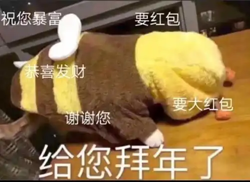 靠抢红包过日子表情包拜