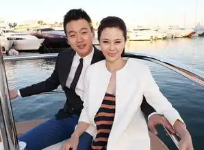 黄磊老婆15年没下厨,佟大为老婆管钱12年,她因性格不合离了