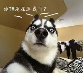 每日萌宠哈士奇表情包来袭