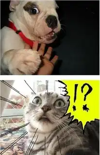 惊呆了盘点动物们惊诧时的可爱表情科技频道