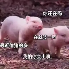 超级幽默诙谐的文案