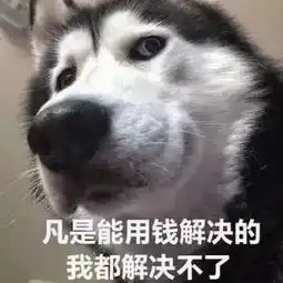 超皮沙雕表情凡是能用钱解决的,我都解决不了