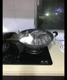 网友听见厨房有动静,进去就看见猫躺在铁锅里,这是要炖自己吗
