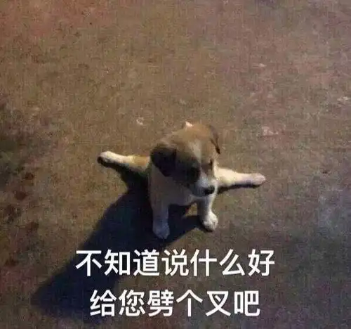 家里有个极品的坏老人是什么感觉