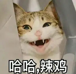 你有哪些关于猫狗的表情包