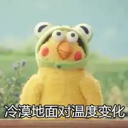 冷遂宁温度跌破0了,汽车玻璃结冰,快裹紧你的小被子吧