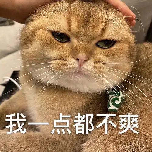 原创哈丨超搞笑微包浆表...