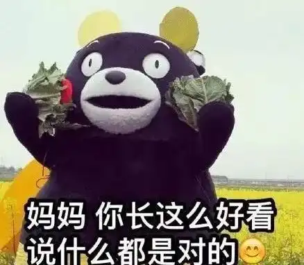 春节预警你准备好了吗