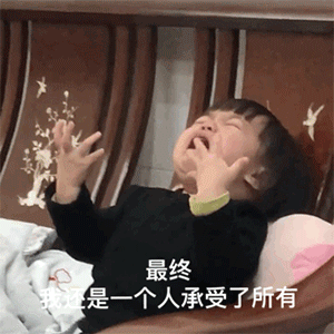 gif搞笑段子最终我还是一个人承受了所有