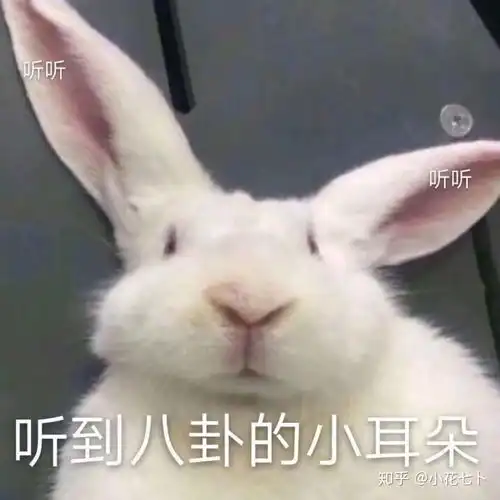 恶搞表情包熊猫耳朵