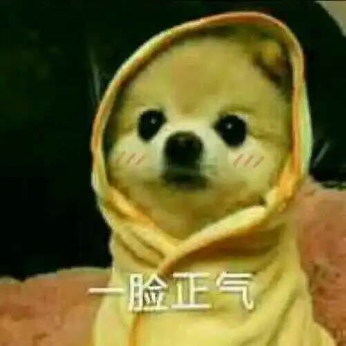 日本留学直考修士真的靠谱吗