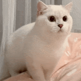 搞笑表情包拿来吧你