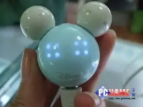 奇趣表情显示艾利和米奇mp3低价甩卖