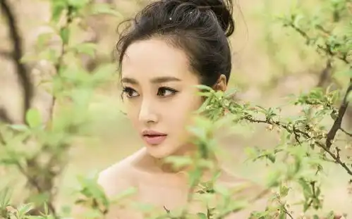 7月28日8月10日幸福运势,生肖狗生肖猪生肖羊生肖虎运势3