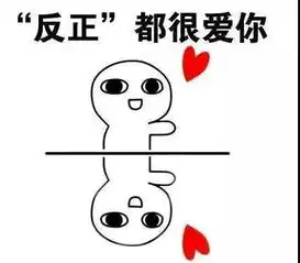 车主问关于型鲨车标小宝君想对你说..