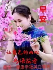 2019最新漂亮早上好动态美图鲜花带字,早晨好幸福暖心的问候表情图片