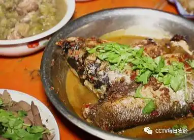 至味人间是否怀念你家里的那口铁锅,和咕嘟咕嘟的炖鱼