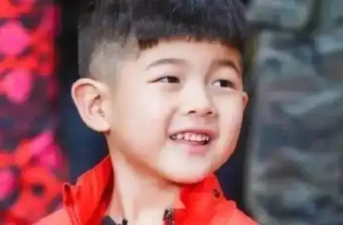 有种整容式长大叫沙溢大儿子,人称东北宋仲基,前途无量