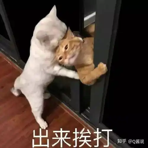 6款平价美白精华测评,卡尼尔乐敦theordinary谁才是美白界性价比之王