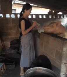 搞笑gif图爱笑的女孩运气都不会太差