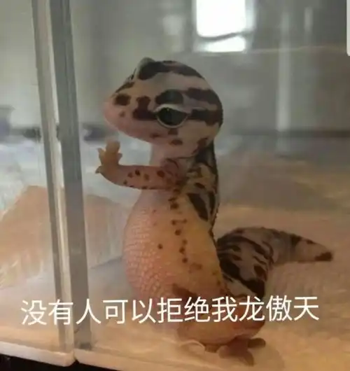 但是我拒绝gif表情包我