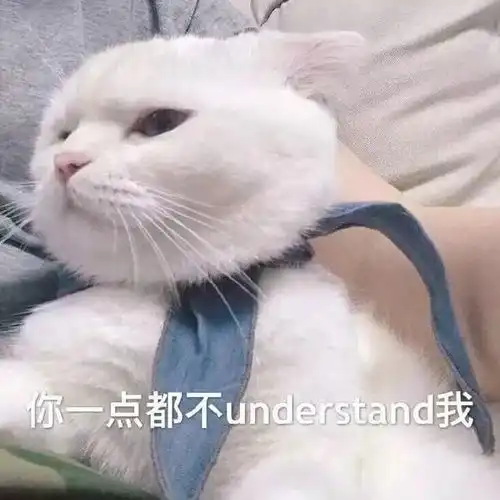 猫咪犯错怎么办不能家暴,就用这4招让他心服口服
