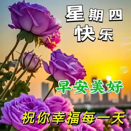 早安图片大全把祝福送给我最珍惜的人