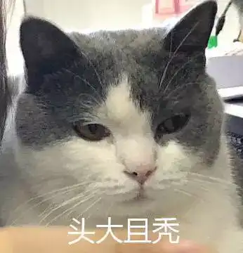 重磅大学毕业论文救命指南2.0版,看完一键解决写不出论文大难题