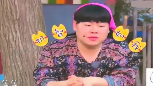 明星大侦探表情包收费阿