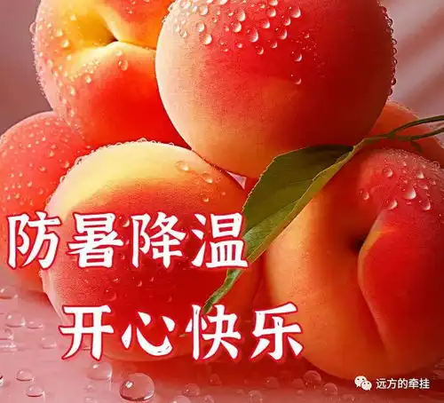 今日最新早上好表情包大全,夏季炎热,防暑降温,健康快乐