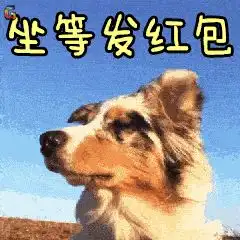 拜年表情包2022狗年
