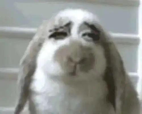 注意这不是演习这是个真实的故事