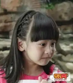 森碟认养考拉拍广告获赞第16页潮娃美图亲子图库贝瓦网